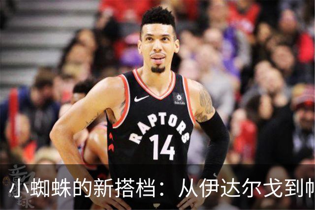 小蜘蛛的新搭档：从伊达尔戈到帕斯托雷的转身