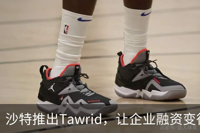 沙特推出Tawrid，让企业融资变得像点外卖那么简单！