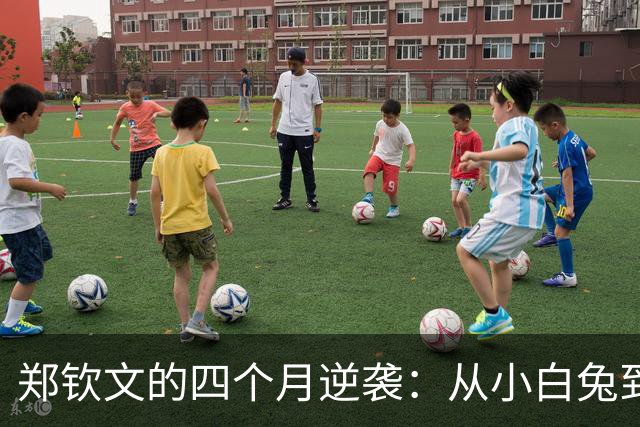 郑钦文的四个月逆袭：从小白兔到中网女王